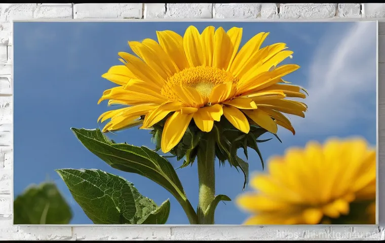 마케팅관리사 자격증과 실무 연계 - Here are three image generation prompts in English, designed to be detailed and adhere to your guide...